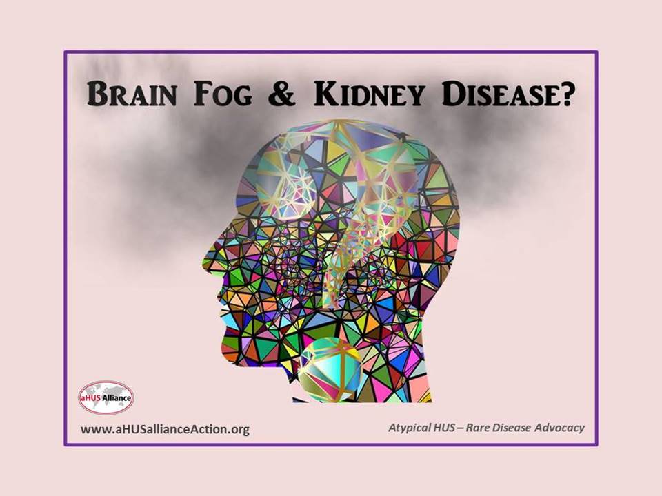 Brain Fog - Meaning, Symptoms, Causes, Treatment & So Much More