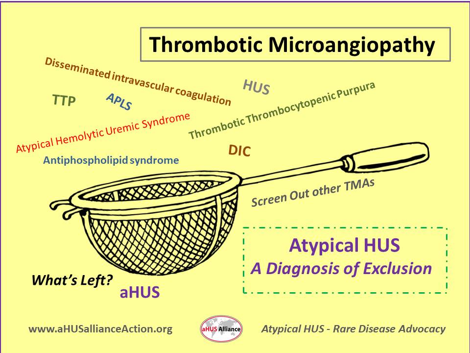 AHUS A Constellation Of Symptoms AHUS Alliance Action