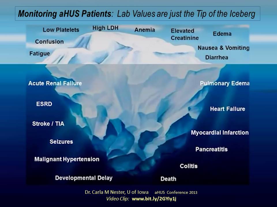 Iceberg, FINAL - aHUS Alliance ActionaHUS Alliance Action