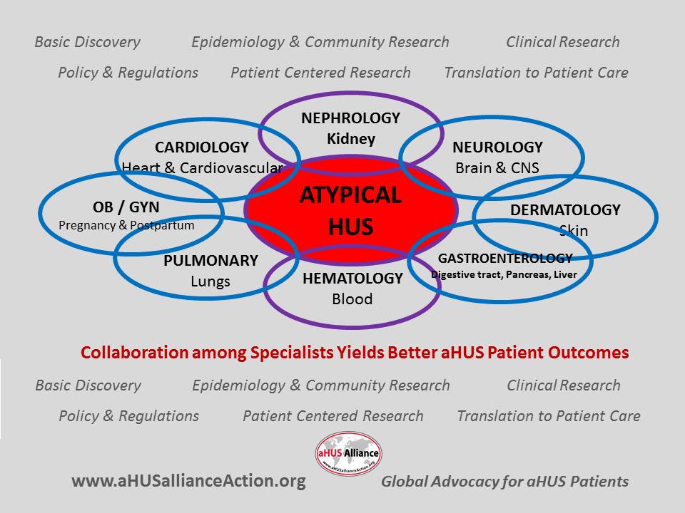Ahus Patient Care The Need For Multidisciplinary Collaboration Ahus Alliance Actionahus