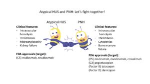 Read more about the article Atypical HUS and PNH: better together?